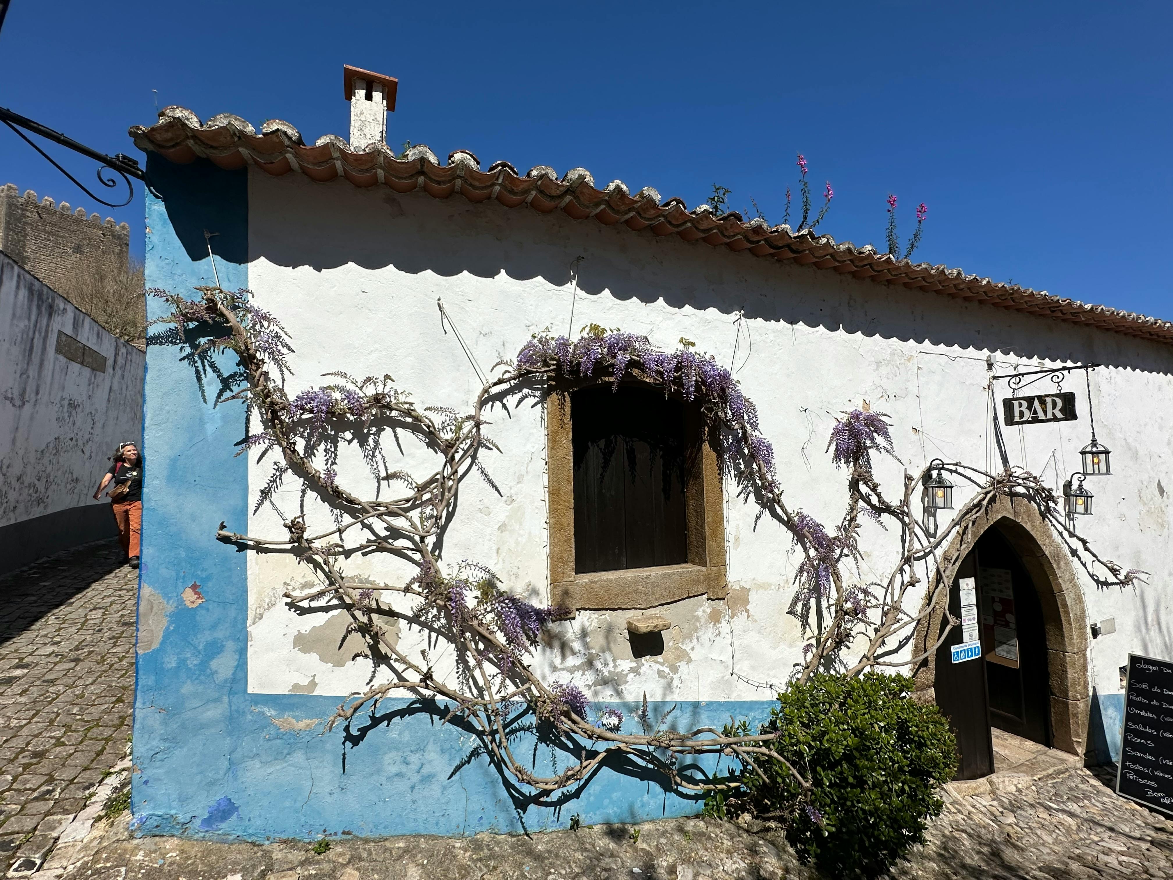 pexels-cruz-in-portugal-31533224