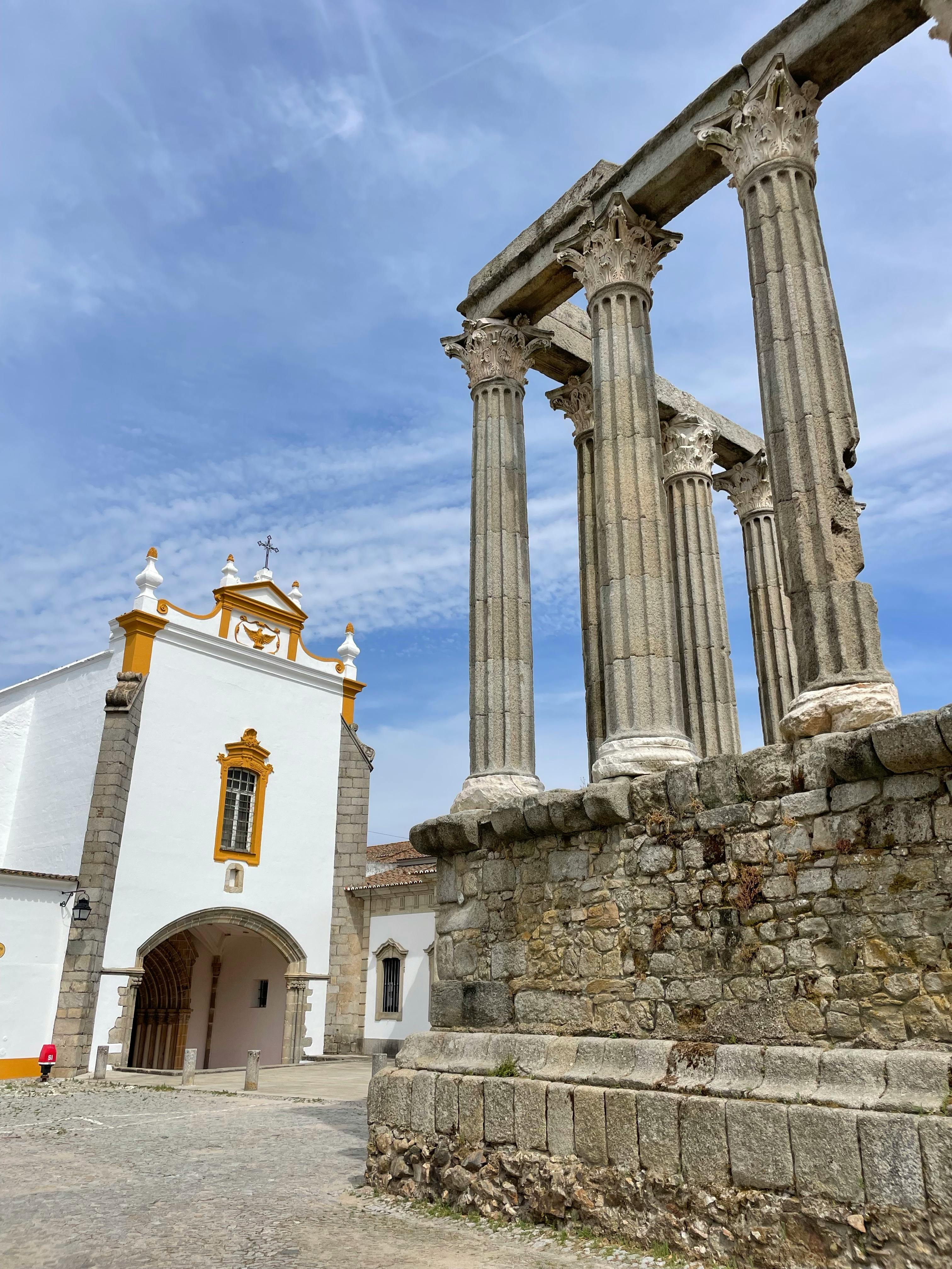 pexels-petra-nesti-1766376-17279593